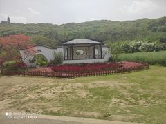 -苏州上方山国家森林公园