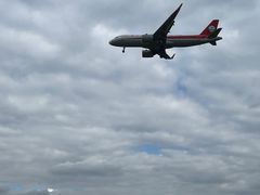 -空港花田景区