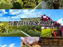 -稻梦空间