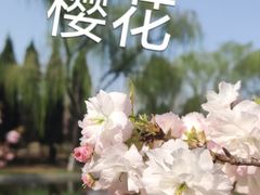 -石家庄市植物园