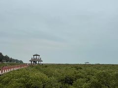 -北海金海湾红树林生态旅游区