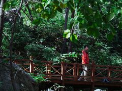 -大岭沟猕猴桃谷风景区