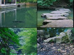 -杭州植物园