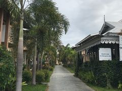 -黄色小屋