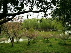 -昆山城市生态森林公园