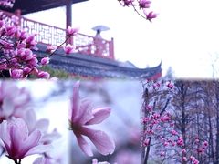 -堤角公园