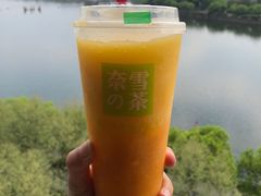 霸气橙子-奈雪的茶(金华永盛店)