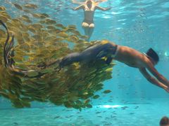 -秦皇岛乐岛海洋王国