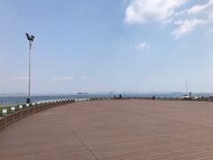 -东港音乐喷泉广场