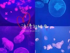 -江和美海洋公园