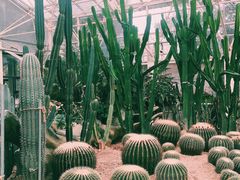-济南植物园