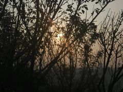 android_upload_pic-金鸡山公园