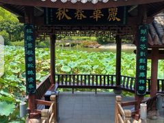 -龙头寺公园