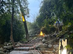 -三江森林温泉度假区