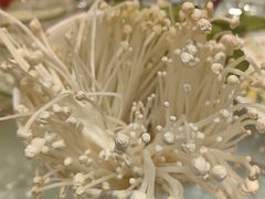 -天宜隆蘑菇宴火锅(石景山旗舰店)