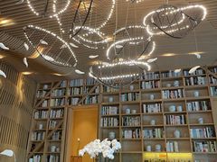 -苏州金鸡湖文博诺富特酒店