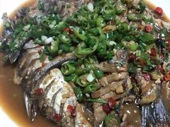 -全乐鱼馆·淳牌有机鱼直营店