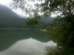 -广州市石门国家森林公园