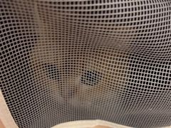 -瑞鹏宠物医院·骨科·猫科·内科(第一中心)