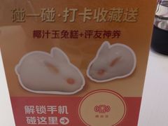 -侨美·唐荔园·40年地道粤菜