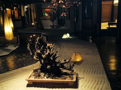 -九朝会昆曲·宴(望京店)