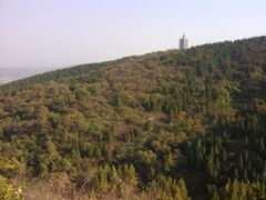 -原山国家森林公园