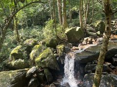 -姑婆山旅游区