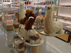 -国药中服免税(北京坊店)