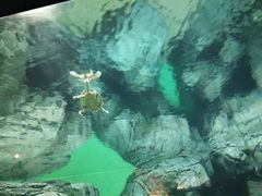 -上海海洋水族馆-停车场