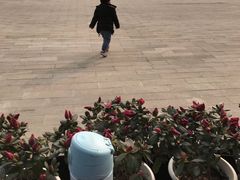 -星巴克(成都科学城店)