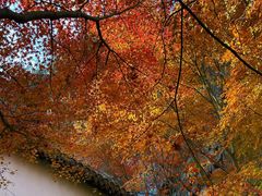 -狼山风景名胜区