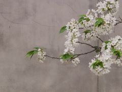 -国际非物质文化遗产博览园