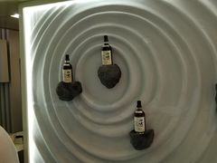 -上海雅居乐万豪侯爵酒店