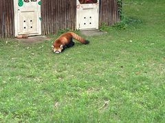 -合肥野生动物园