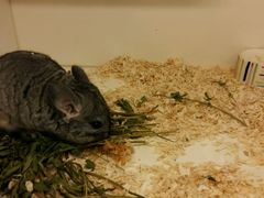 -龙猫仔乐园(惠福东路店)