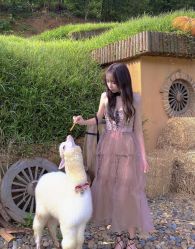 -花漾摄影优选工作室(东莞原创作品店)