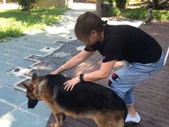 -阳台山自然风景区