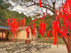 -世间香境·七溪地