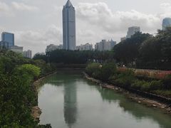 -万绿园