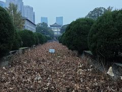 -四川大学(华西校区)