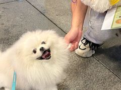 -瑞虹新天地月亮湾