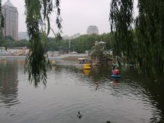 -团结湖公园