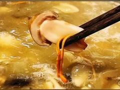 -菌极鲜野生菌火锅店(阳明祠店)