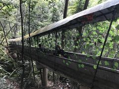 -桂山风景旅游区