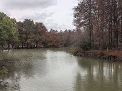 -上海海湾国家森林公园