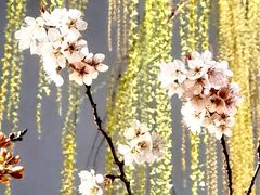 -环城公园