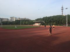 -中天钢铁体育馆(南一门店)
