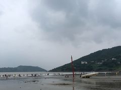 葱油海鲫鱼-天天渔港海鲜酒家(石浦玉泉路店)