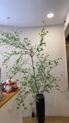 -POCO宝珂丽科技美肤