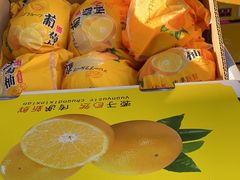 -西郊国际农产品交易中心